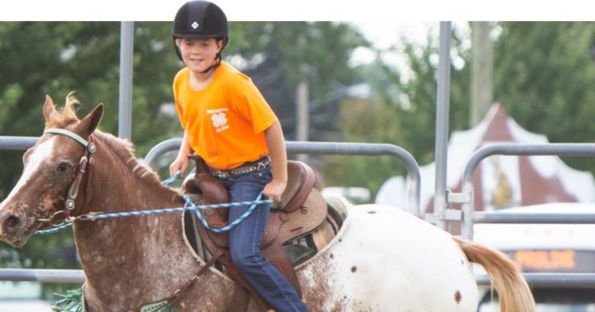 Homepage Stark County Jr Fair 4H